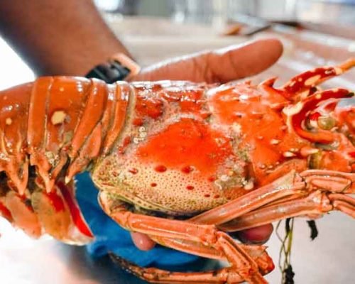 Live Seafood Restaurant Nusa Dua